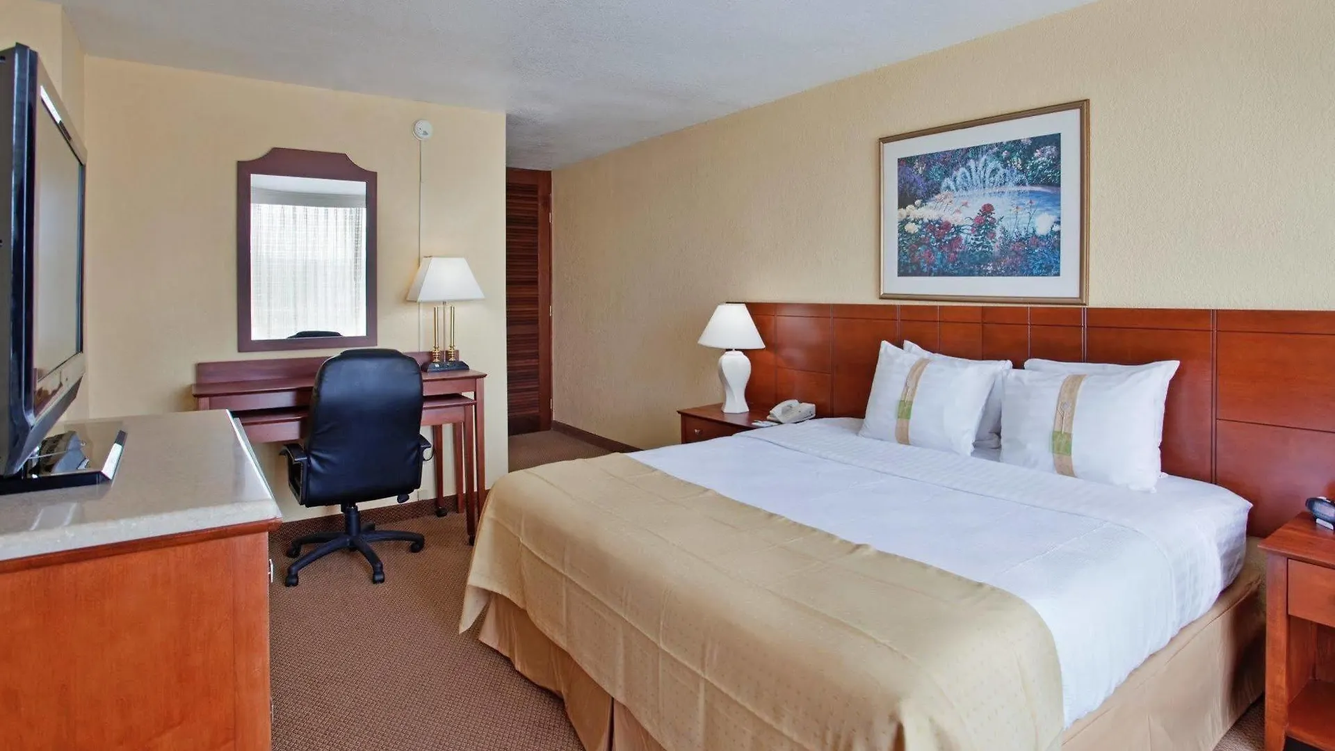 Holiday Inn Mayaguez & Tropical Casino By Ihg Resort